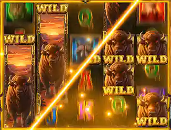 Random Wild Feature