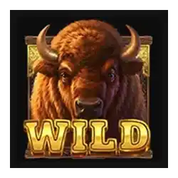 Wild of Wild Bison Stampede Slot