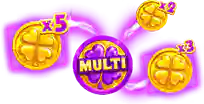 Multi Bonus