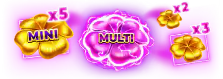 Multi function
