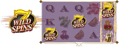 Wild Spins