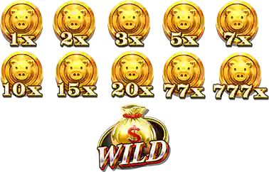 Coins Of The Pig
