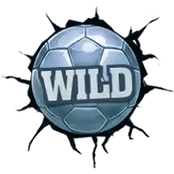 Wild symbol
