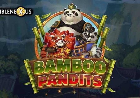 Bamboo Pandits