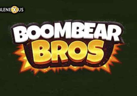 Boombear Bros