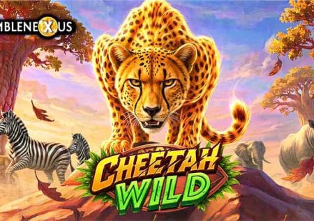Cheetah Wild