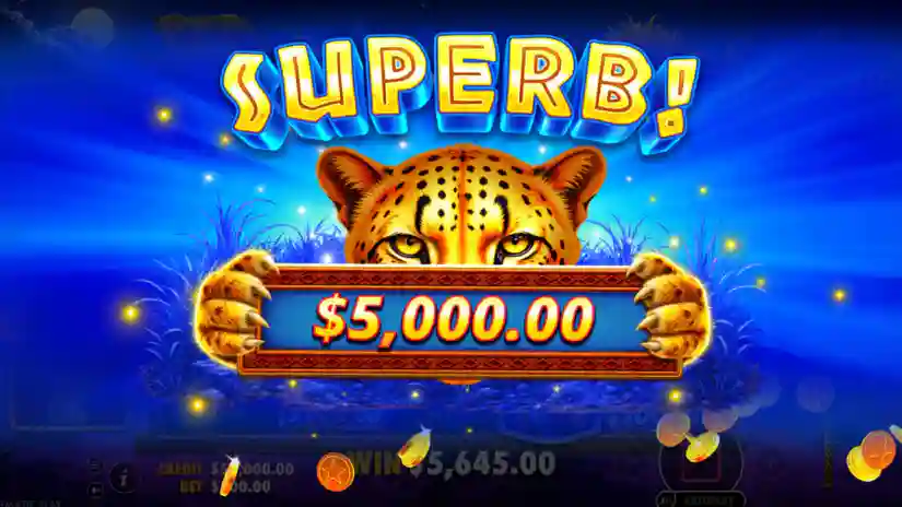 Max Win