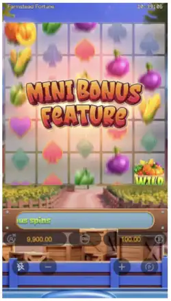 Mini Bonus Feature