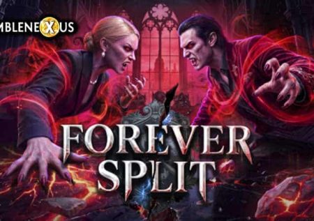 Forever Split