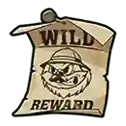 Wild symbol