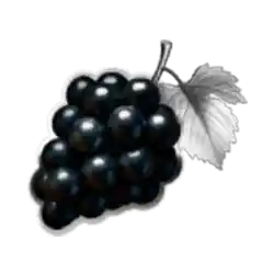 Symbol 09 Lucky Multifruit Crystal Dust