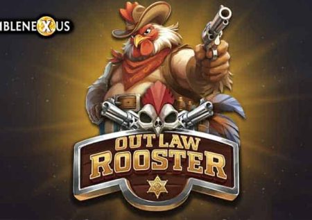Outlaw Rooster