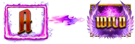 Purple Rebirth