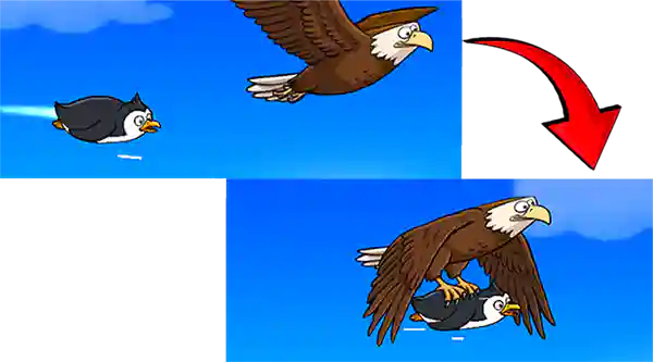 bird