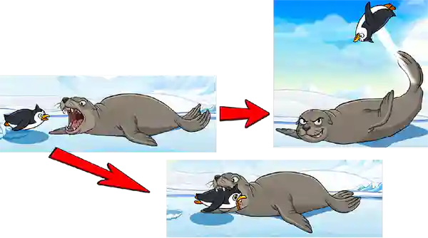 seal