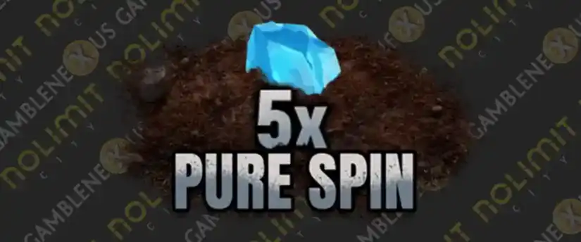 Pure Spin