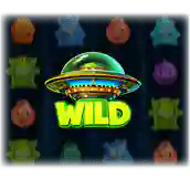 wild