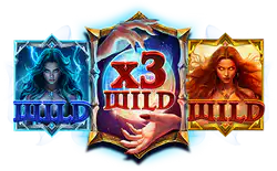 Wild symbol