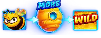 More Feature