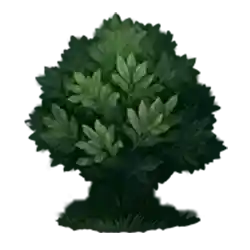 Symbol 05 Bjorn