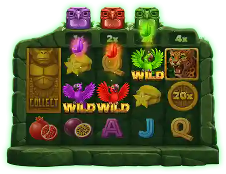 Wild Collection