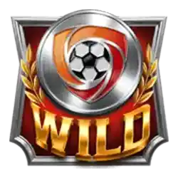 Wild symbol