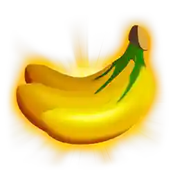 Wild Symbol