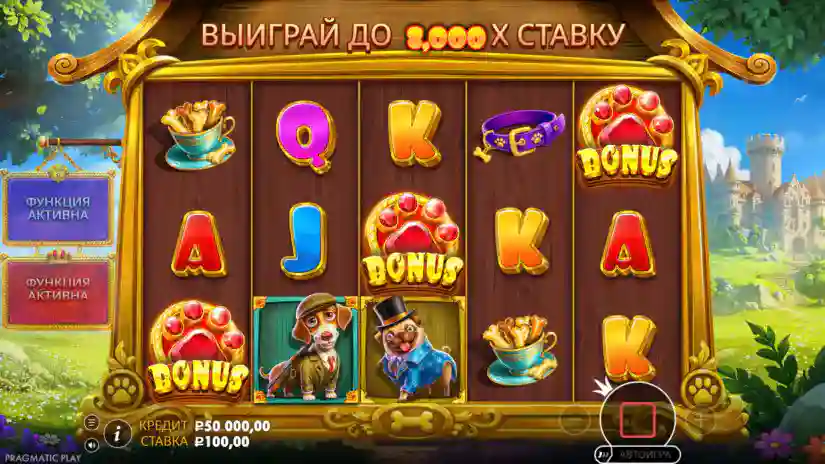 Free Spins