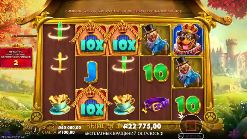 Gameplay