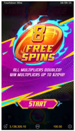 Free Spins Feature