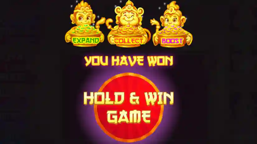 Hold & Win Bonus Game
