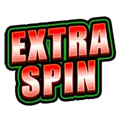 Extra Spin