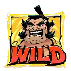 symbol wild