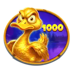 Collect of Big Duck Splash 1000 Slot