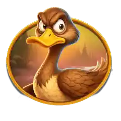 Collect of Big Duck Splash 1000 Slot