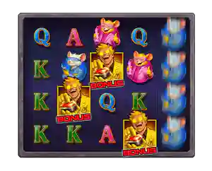 Bonus Spins