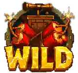 Wild symbol