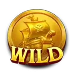 Wild symbol