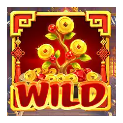 Wild Symbol