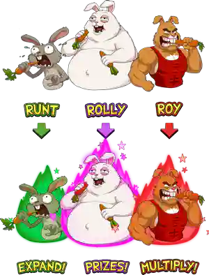 Meet The Rabbits!