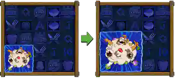Collector Expansion