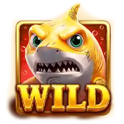 Wild symbol