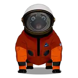 cosmonaut dog