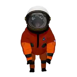 cosmonaut dog