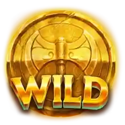 symbol wild