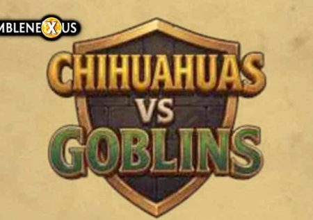 Chihuahuas vs Goblins