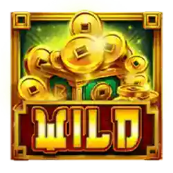 Wild symbol
