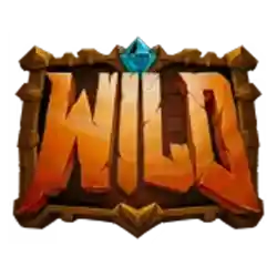 Wild symbol